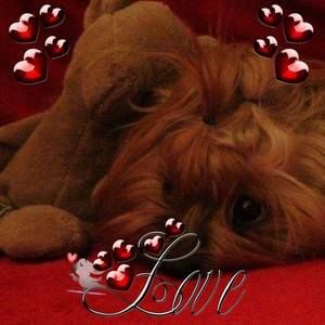 Meet your Posher, Felicia